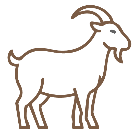 Cashmere Grade A